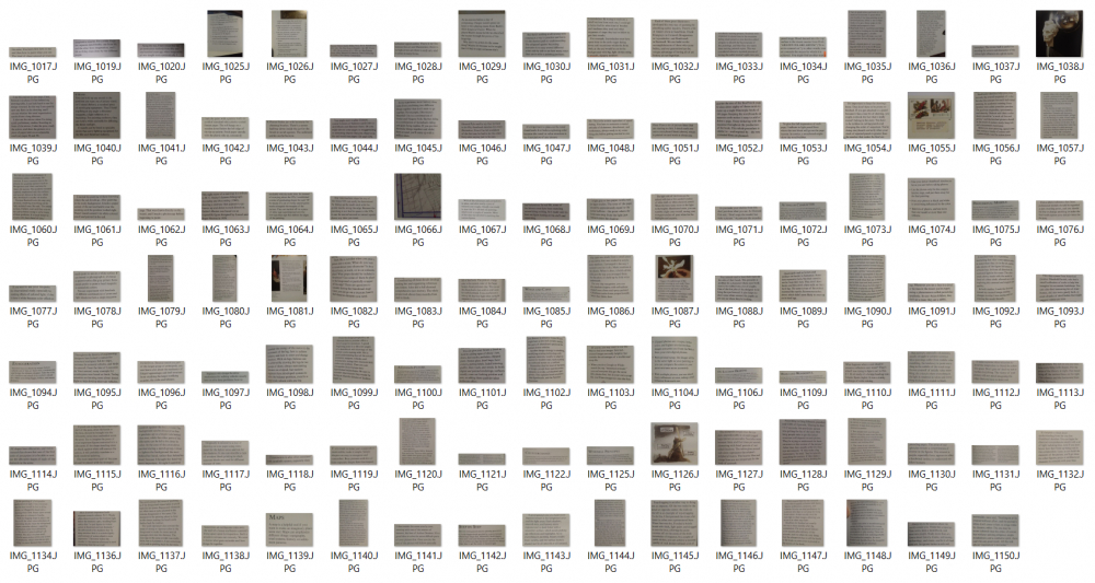all my photo highlights