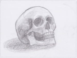 Skull%20Initial%20Sketch